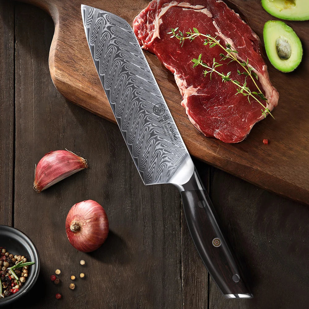 Everyday Santoku Joy Knife