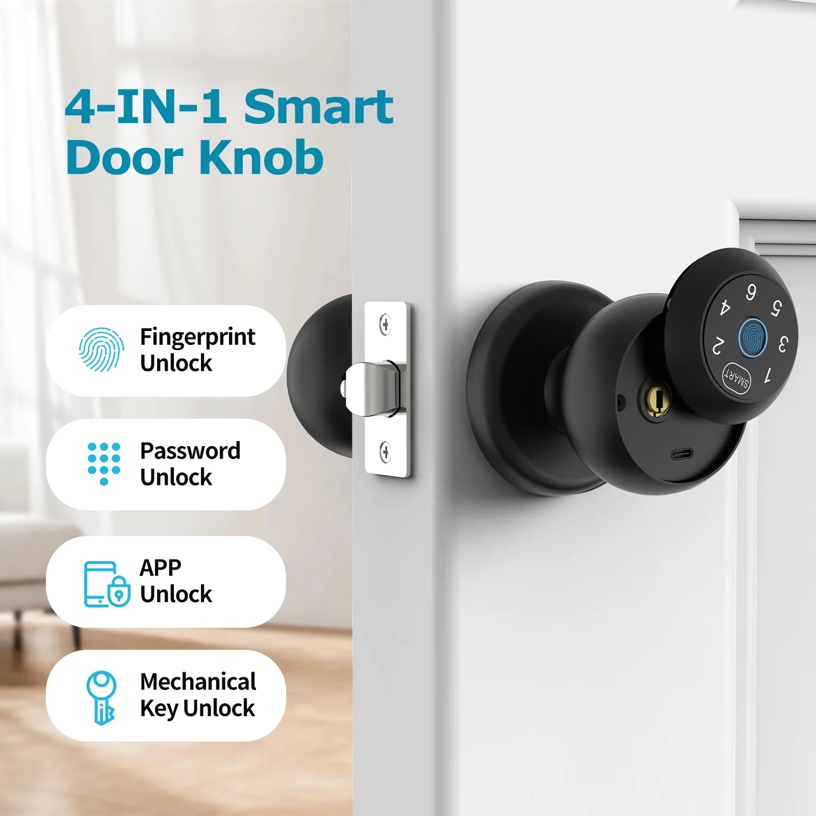 SmartSecure Touch Door Lock